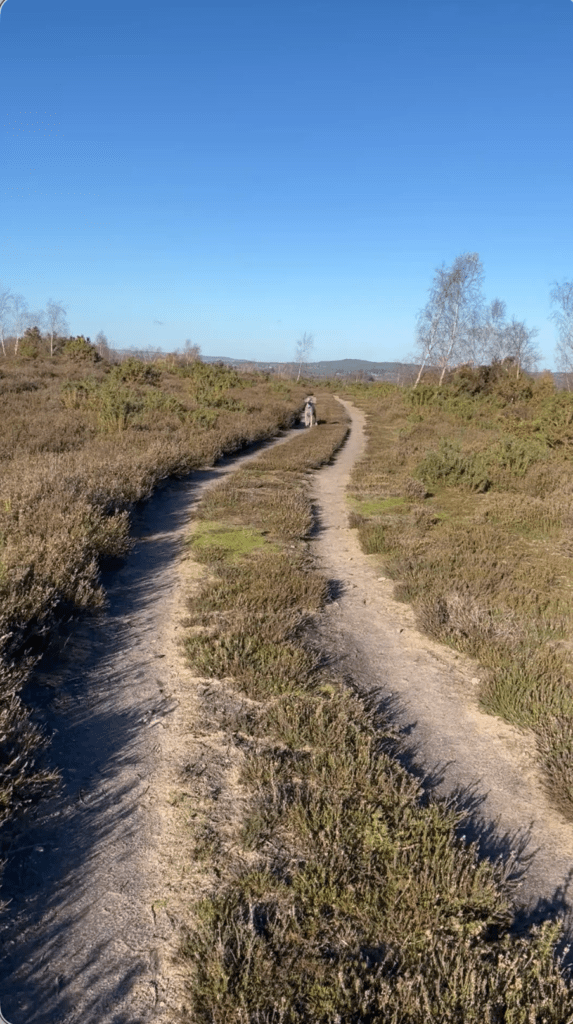 Video Gallery - Screenshot 2025 12 06 at 16.12.34