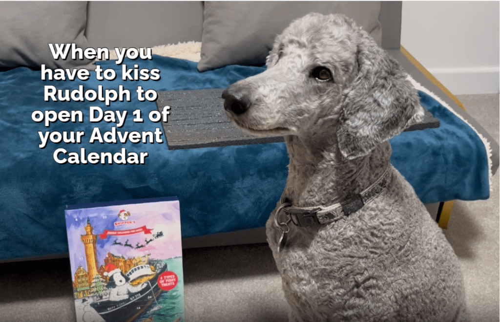 Video Gallery - Screenshot 2025 12 07 at 08.29.34