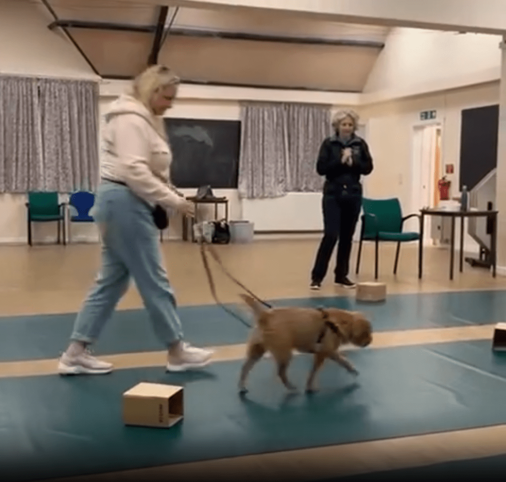 Week 2 of Beginner Scent Class