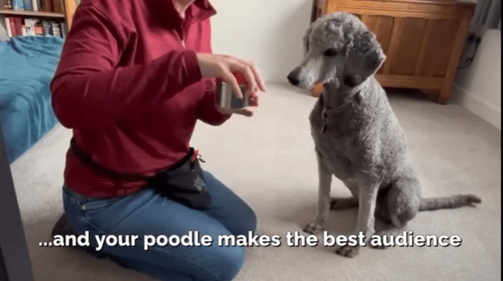 Video Gallery - Screenshot 2025 12 18 at 08.49.49