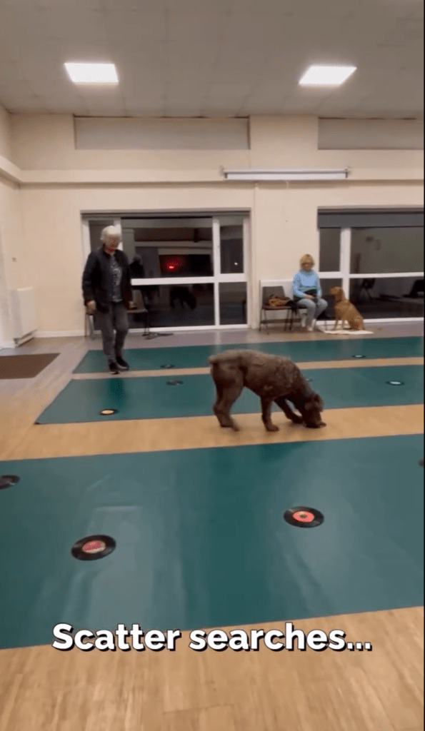 Video Gallery - Screenshot 2025 12 18 at 12.50.52