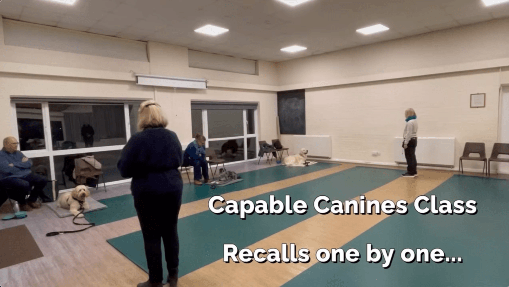 Video Gallery - Screenshot 2025 12 18 at 13.05.40