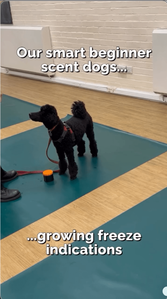 beginners scent class 