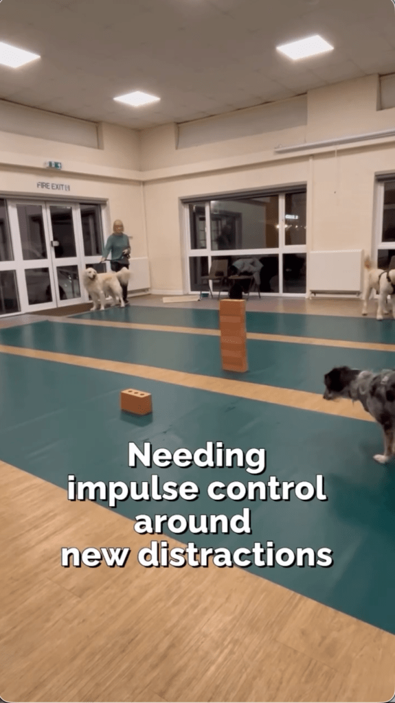 Building impulse control