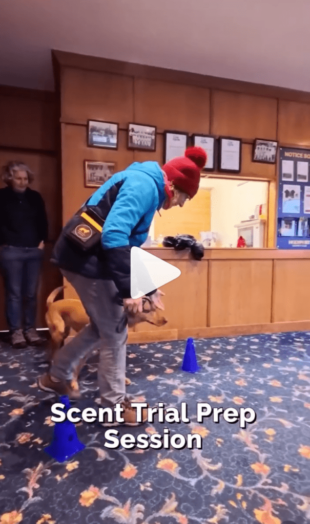 Preparing for scent trials with Claire